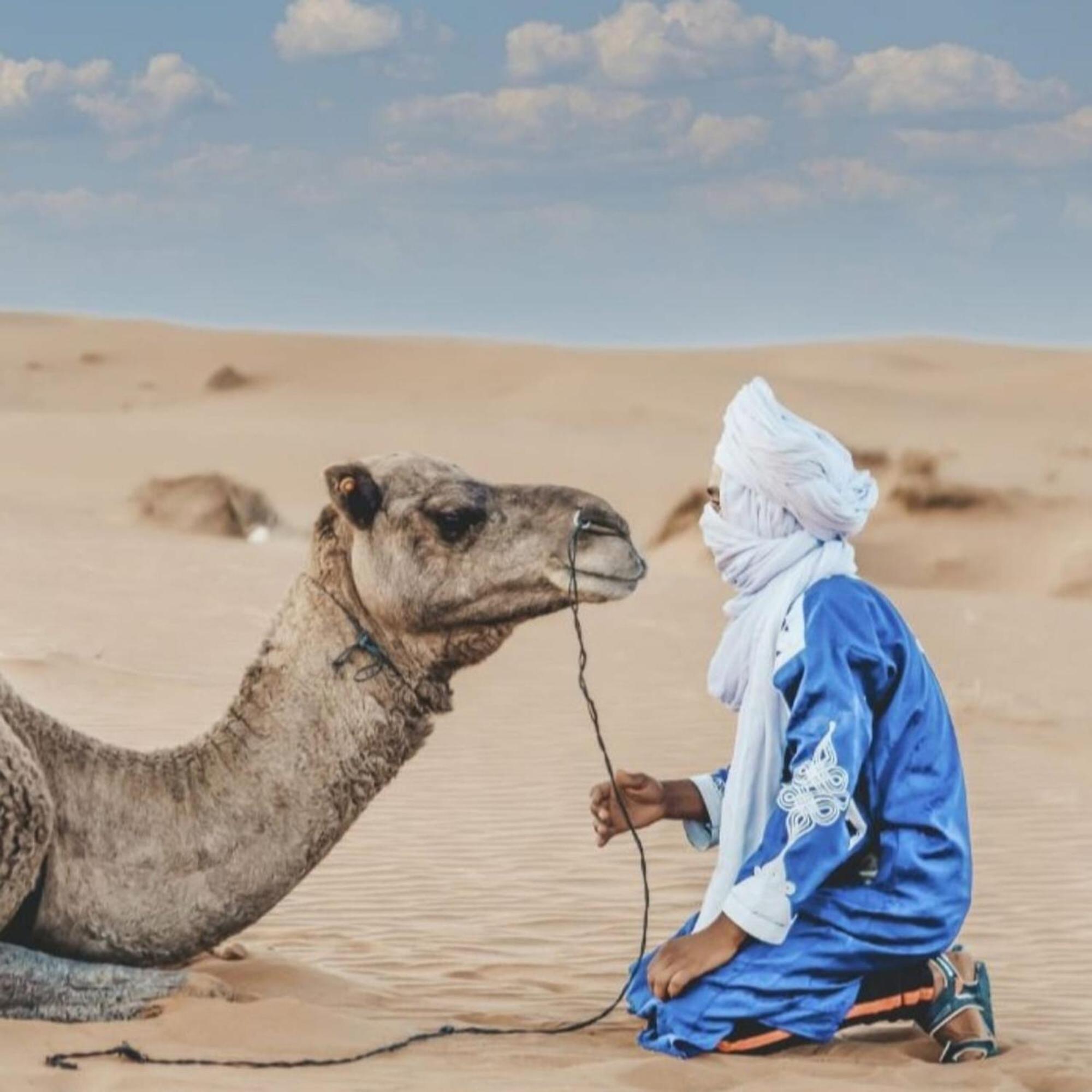 梅尔祖卡 Unique Sahara Camp酒店 外观 照片