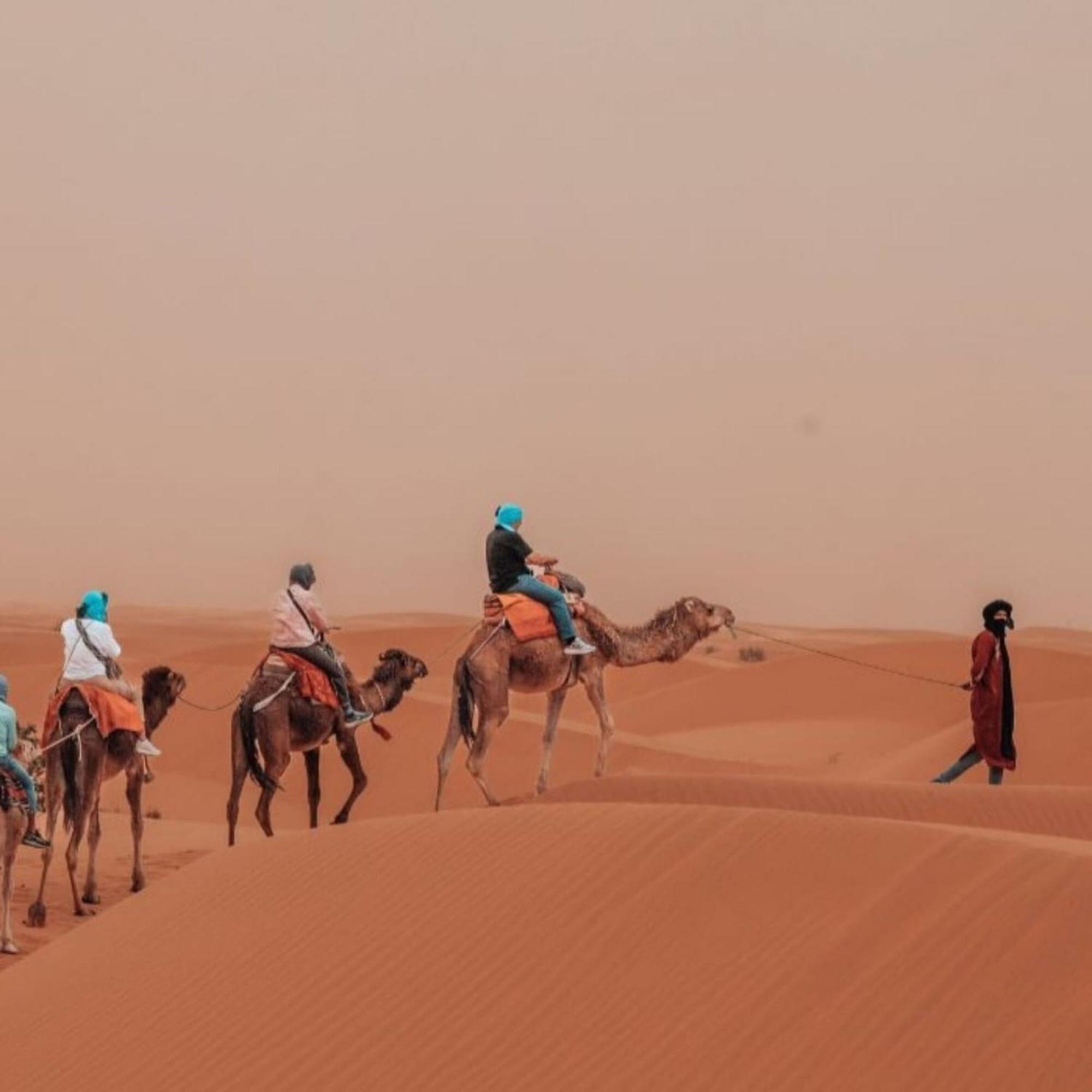 梅尔祖卡 Unique Sahara Camp酒店 外观 照片