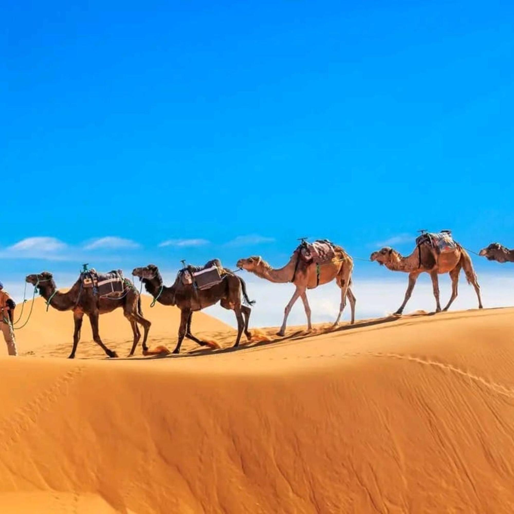 梅尔祖卡 Unique Sahara Camp酒店 外观 照片